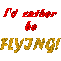 flying.gif (2906 bytes)