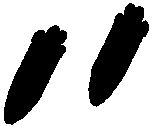 rabfeet.gif (667 bytes)