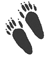 sqlfeet.gif (673 bytes)