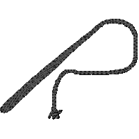 whip.gif (712 bytes)